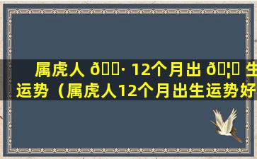 属虎人 🌷 12个月出 🦋 生运势（属虎人12个月出生运势好吗）